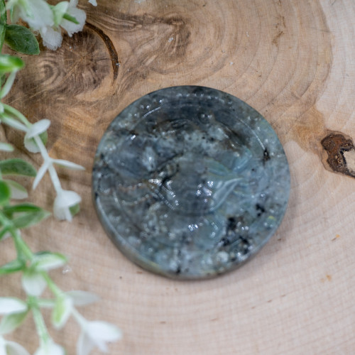 Cancer Labradorite Zodiac Coin #1