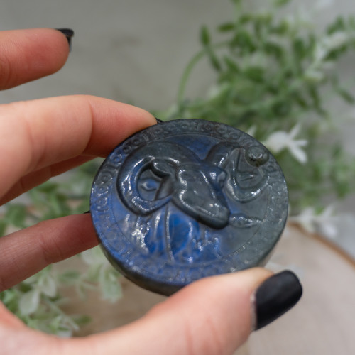 Aries Labradorite Zodiac Coin #1