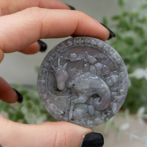 Capricorn Labradorite Coin #2