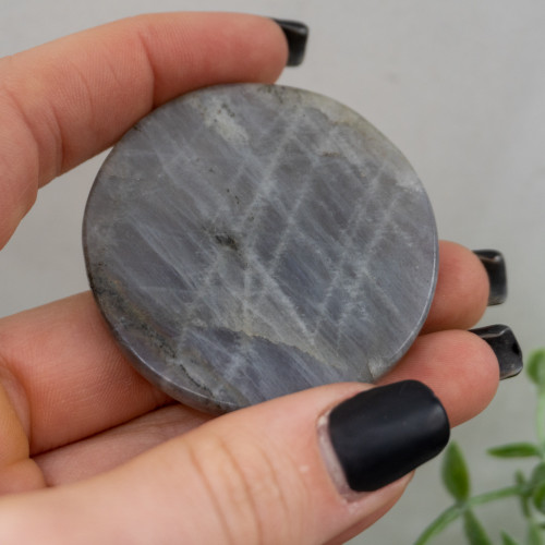 Capricorn Labradorite Coin #1