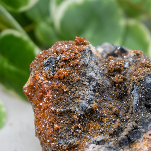 XL Vanadinite on Black Barite #1