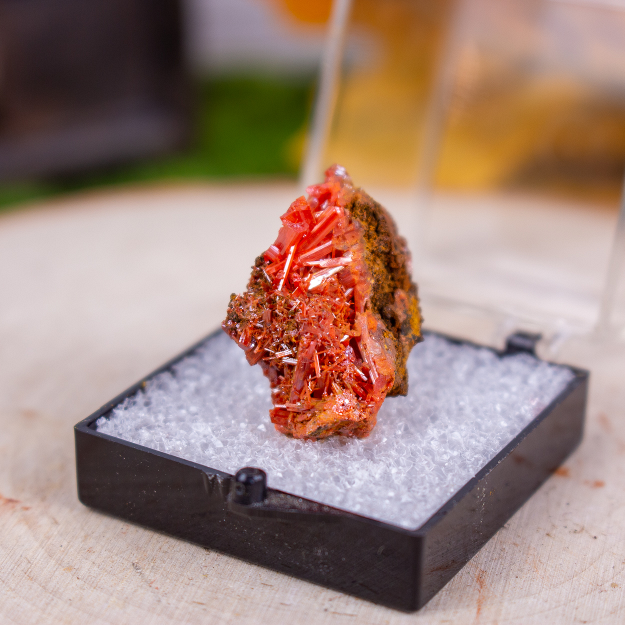 Raw Crocoite in Display Case