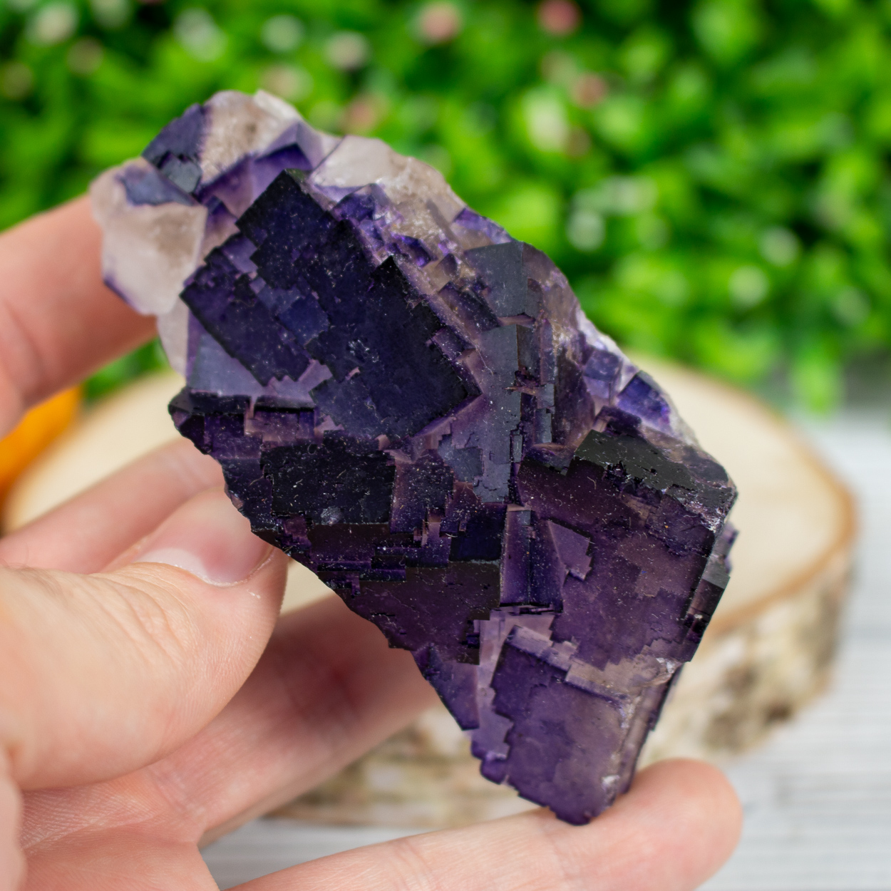 Purple Fluorite 2 The Crystal Council