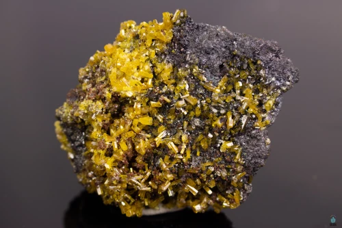 Mimetite