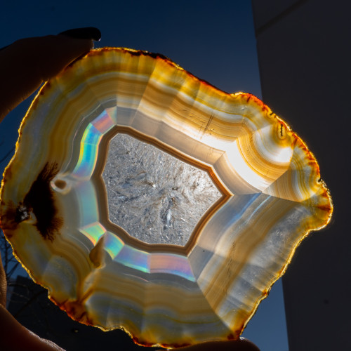 Iris Agate Slice #12