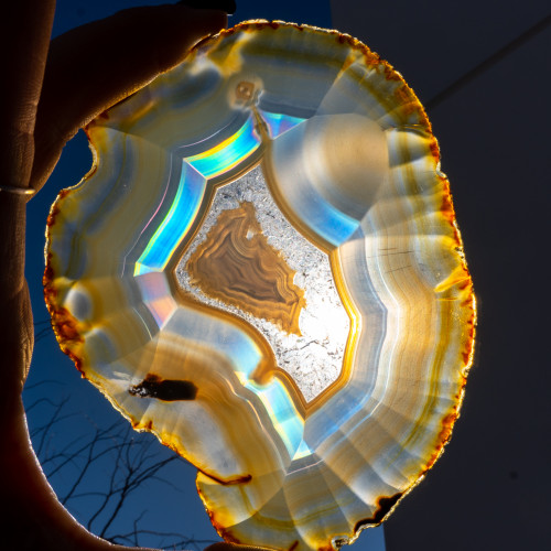 Iris Agate Slice #9