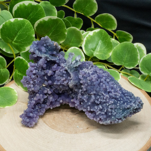 Grape Agate XL #5