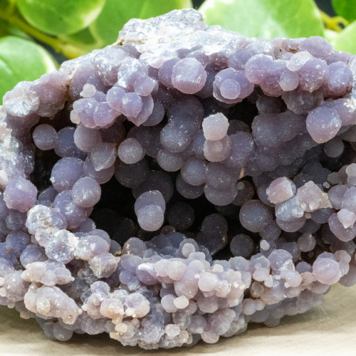 Grape Agate XL #2