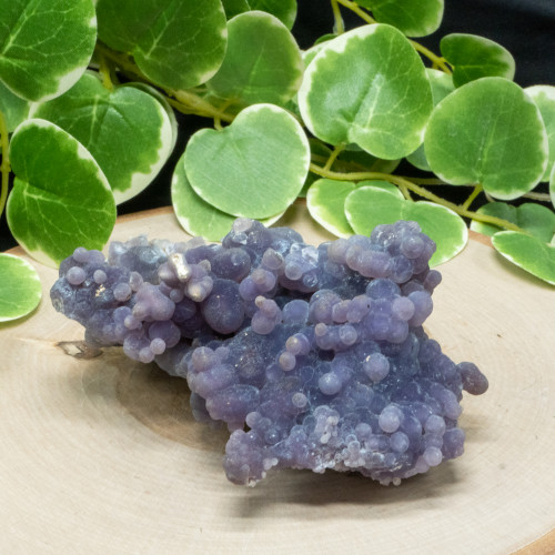 Grape Agate XL #1