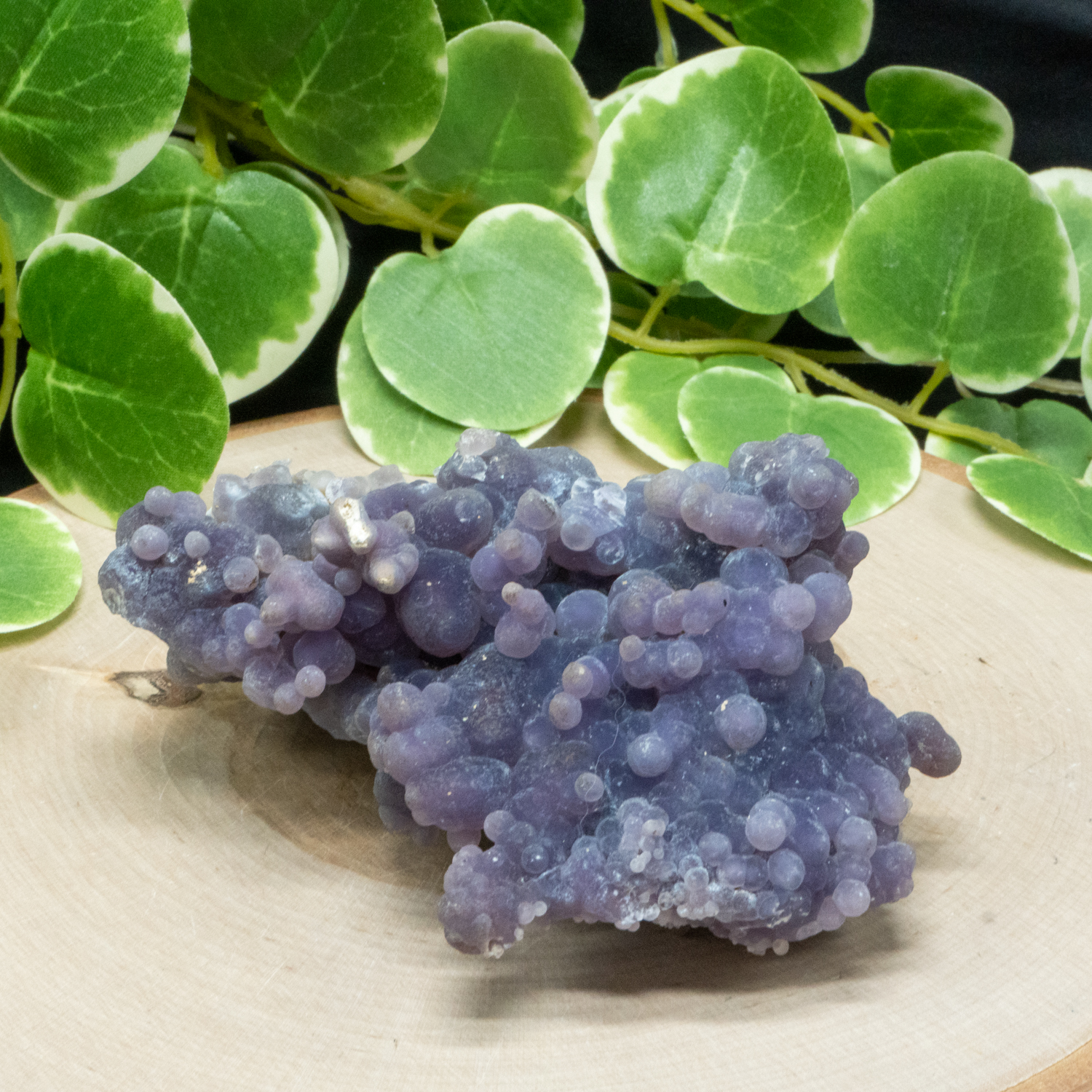 Grape Agate XL 1 The Crystal Council