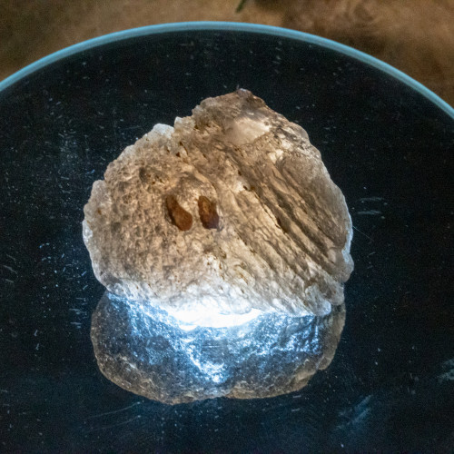 Agni Manitite #7