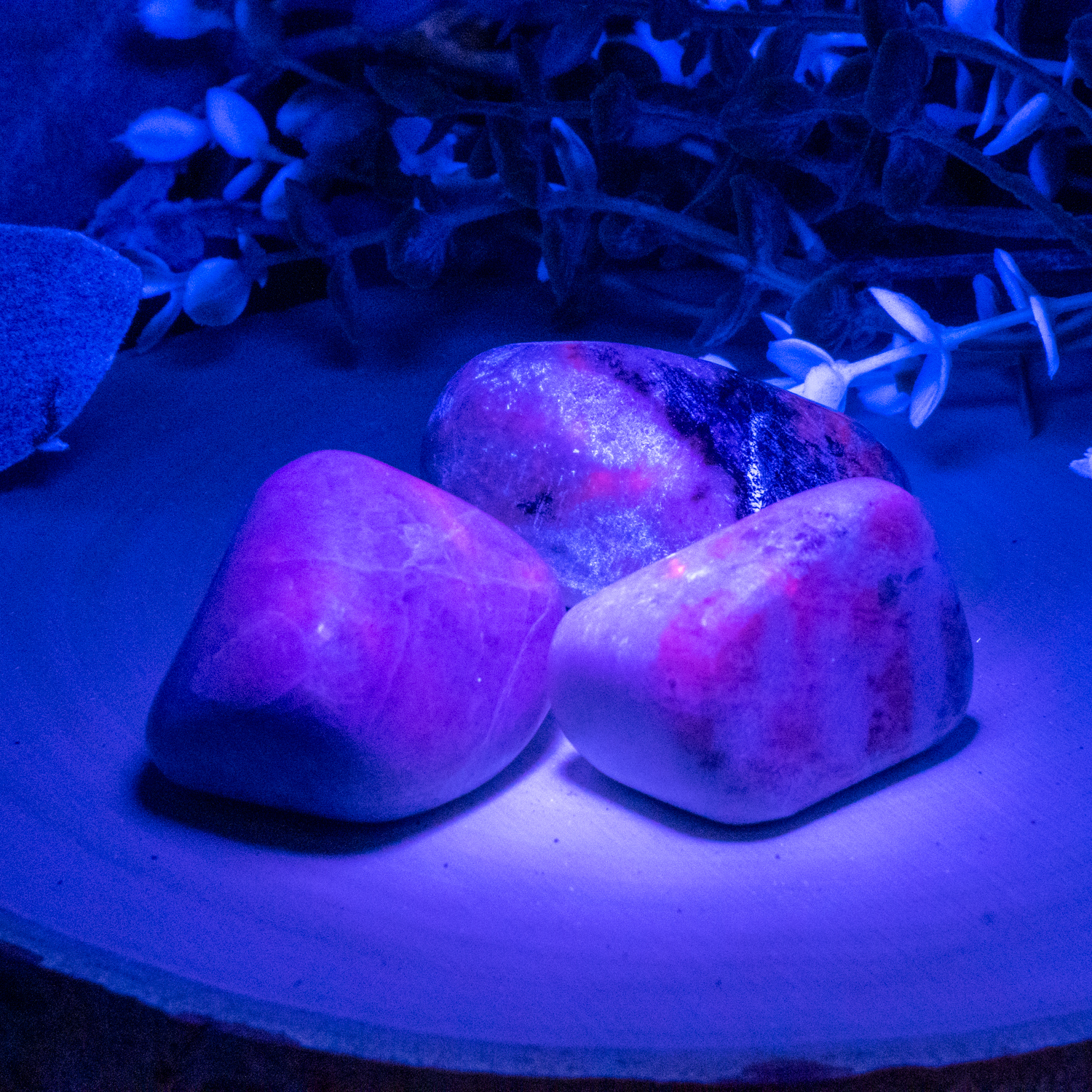 Hackmanite XL Tumbled - The Crystal Council