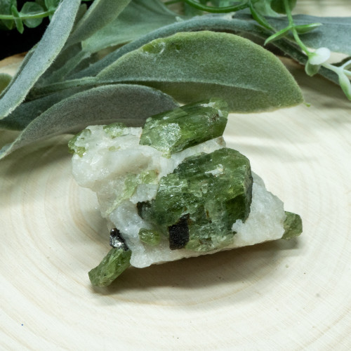 Diopside in Quartz #8