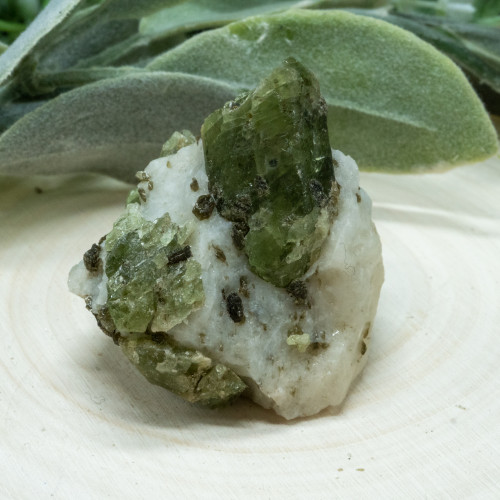 Diopside in Quartz #5