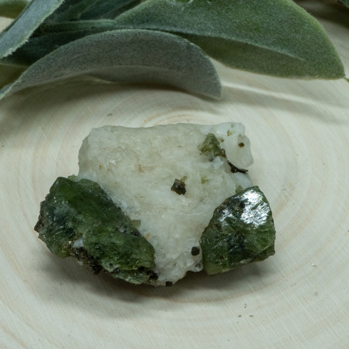 Diopside in Quartz #3