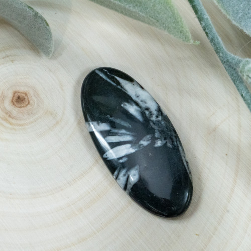 Chrysanthemum Stone Cabachon #2