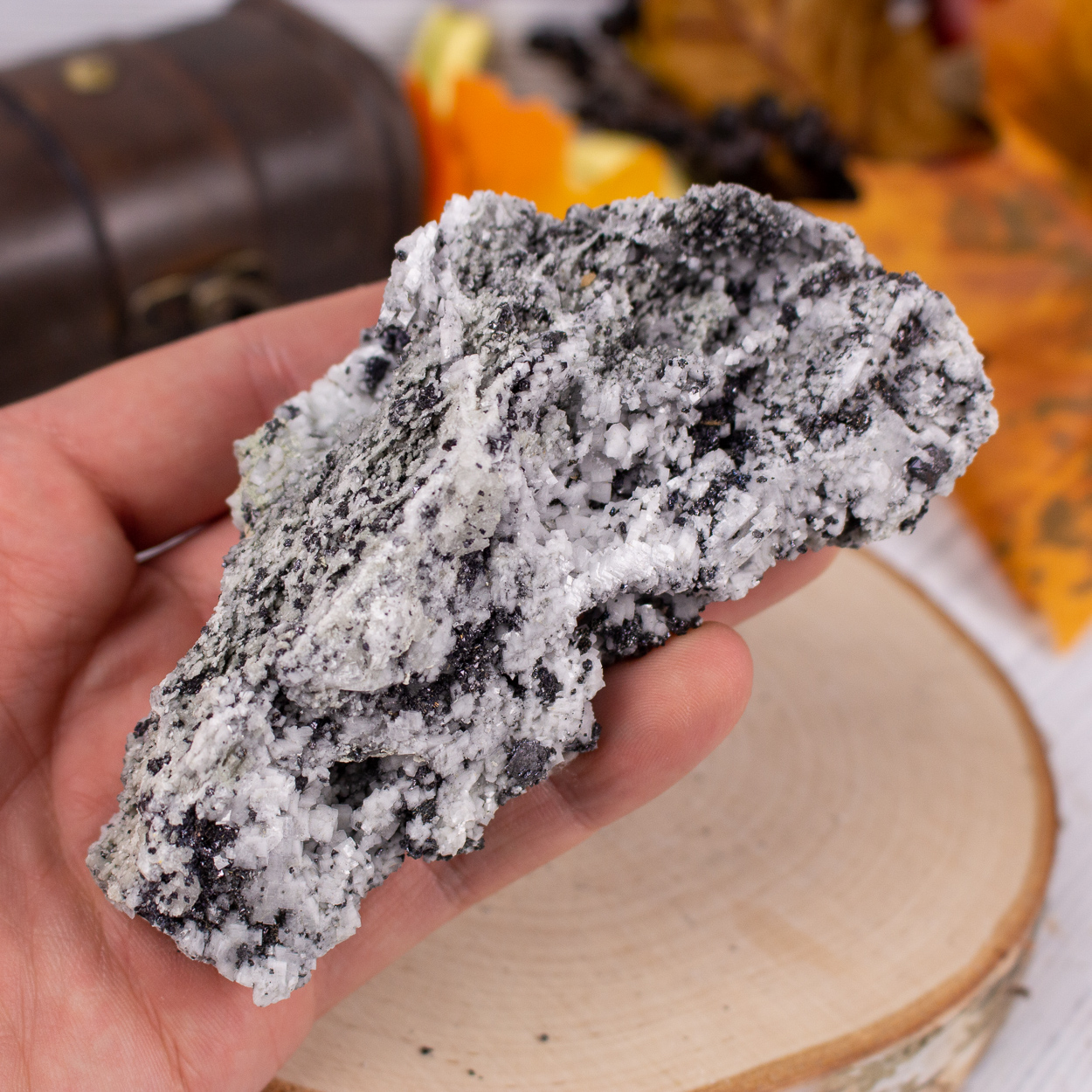 Magnetite in Dolomite #5