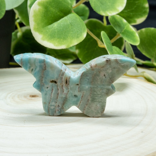 Caribbean Blue Calcite Butterfly #5