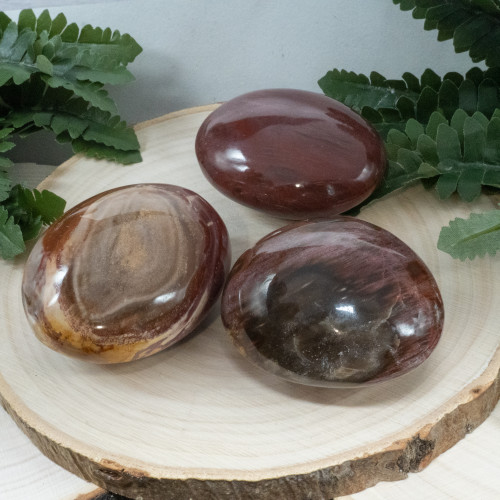Petrified Wood Palmstone