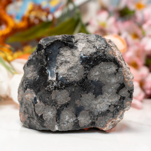 Snowflake Obsidian Large Raw #5