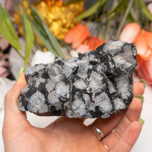 Snowflake Obsidian Large Raw #4