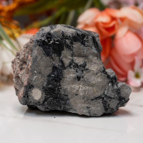 Snowflake Obsidian Medium Raw #5