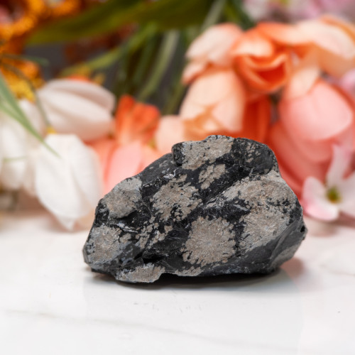 Snowflake Obsidian Medium Raw #3