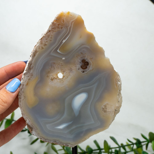 Botswana Agate Polished Slab with Stand #1