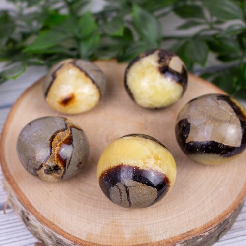 Septarian Palmstone
