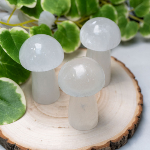 Selenite Mushroom
