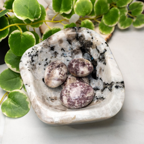 Rainbow Moonstone in Black Tourmaline Bowl #2