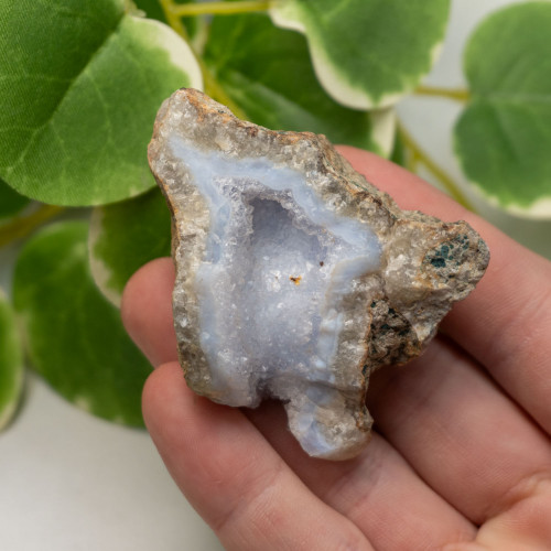 Blue Lace Agate #5