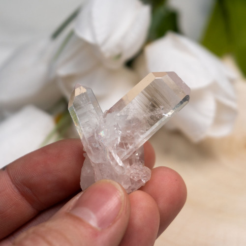 Pink Lithium Japan Law Twin Quartz #2
