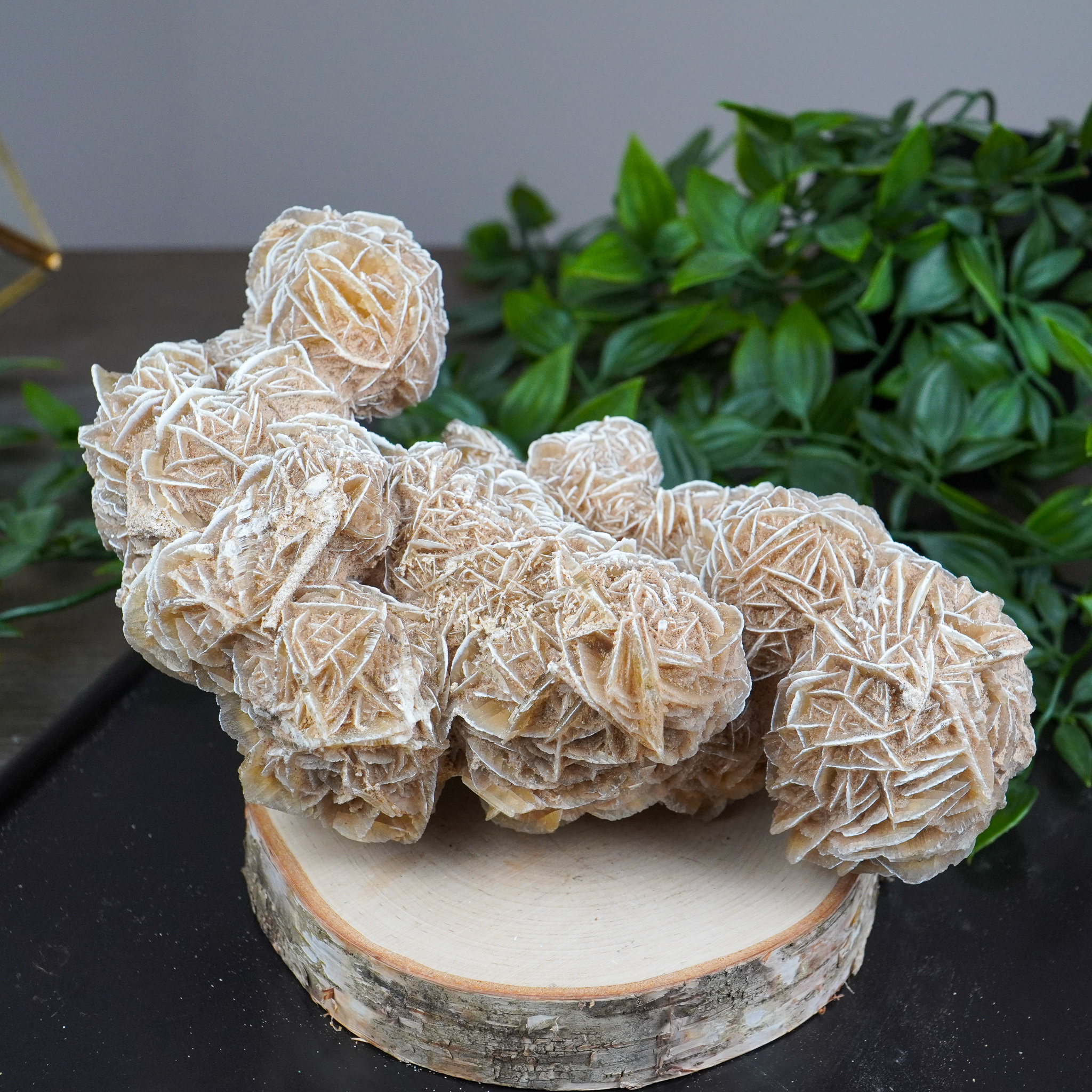 Large Desert Rose Selenite Cluster