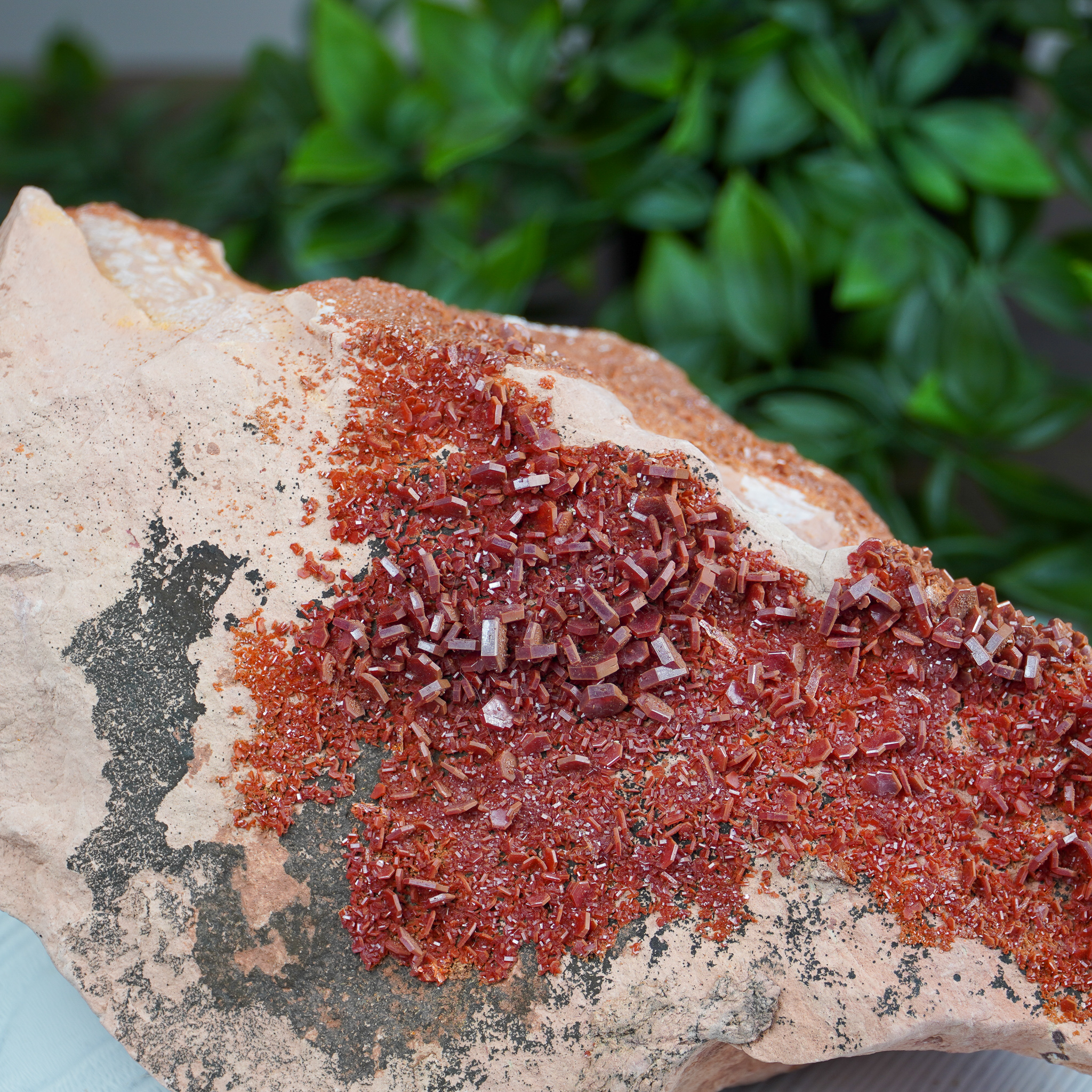 Vanadinite on Matrix