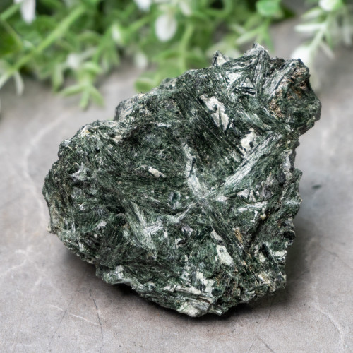 Actinolite #11