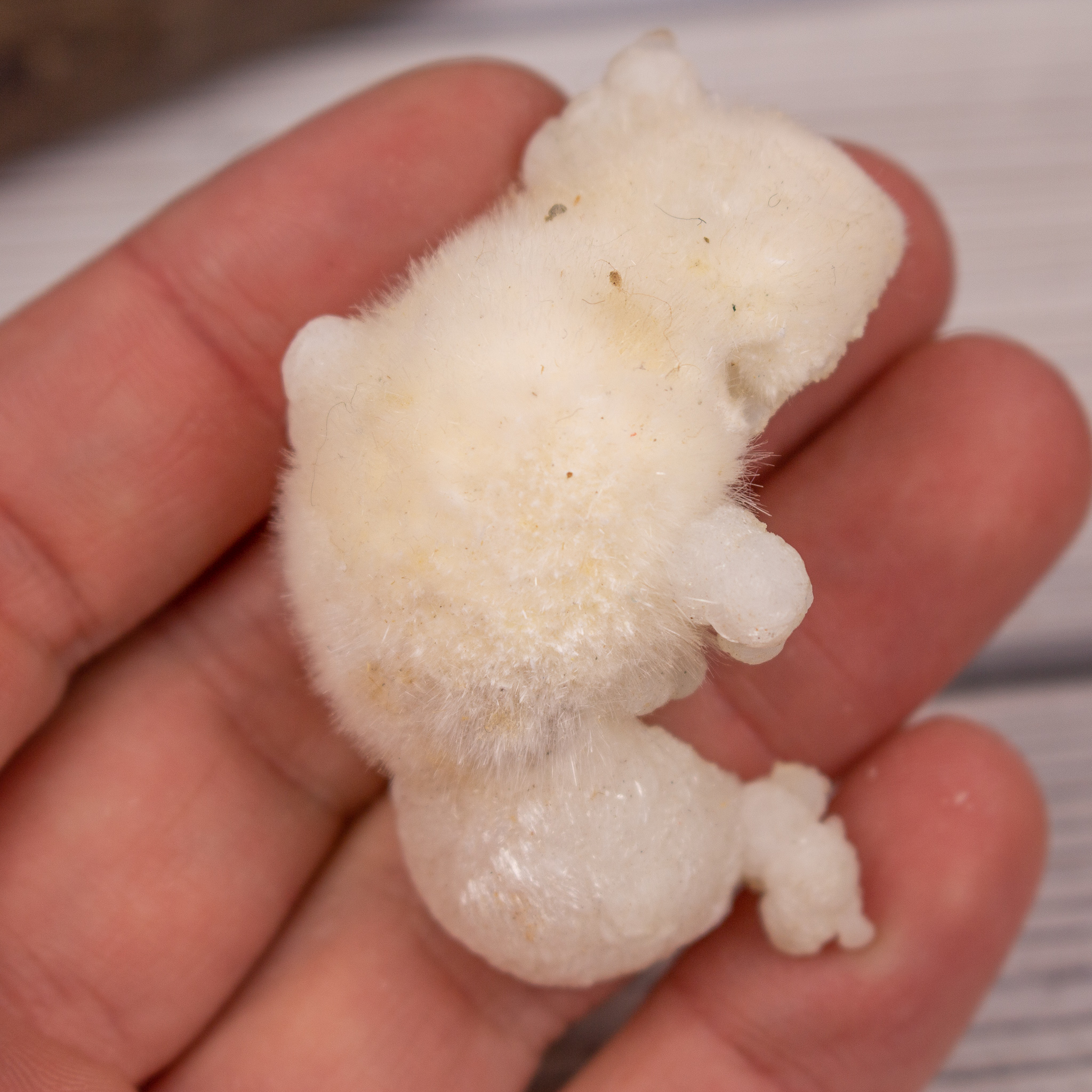 Okenite with Gyrolite