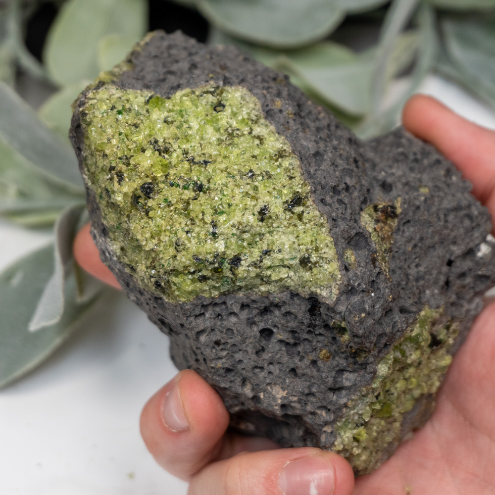 Peridot Raw 1 The Crystal Council