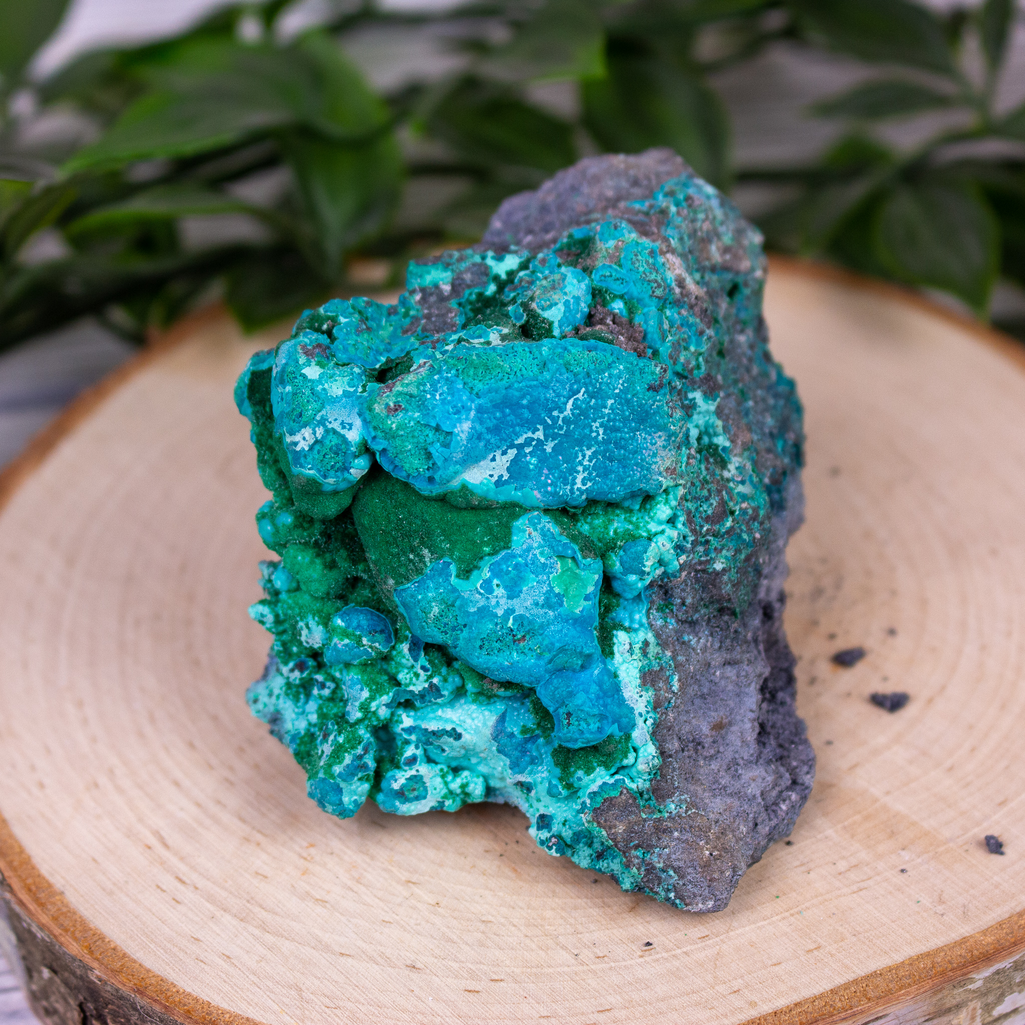 Chryscolla over Malachite on Matrix