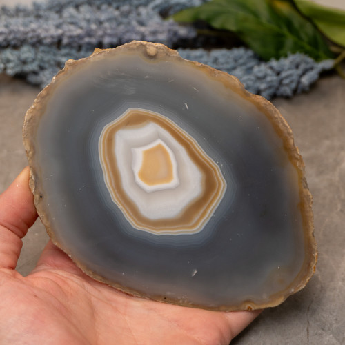 Botswana Agate Slice #3