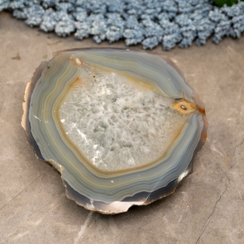 Botswana Agate Slice #2
