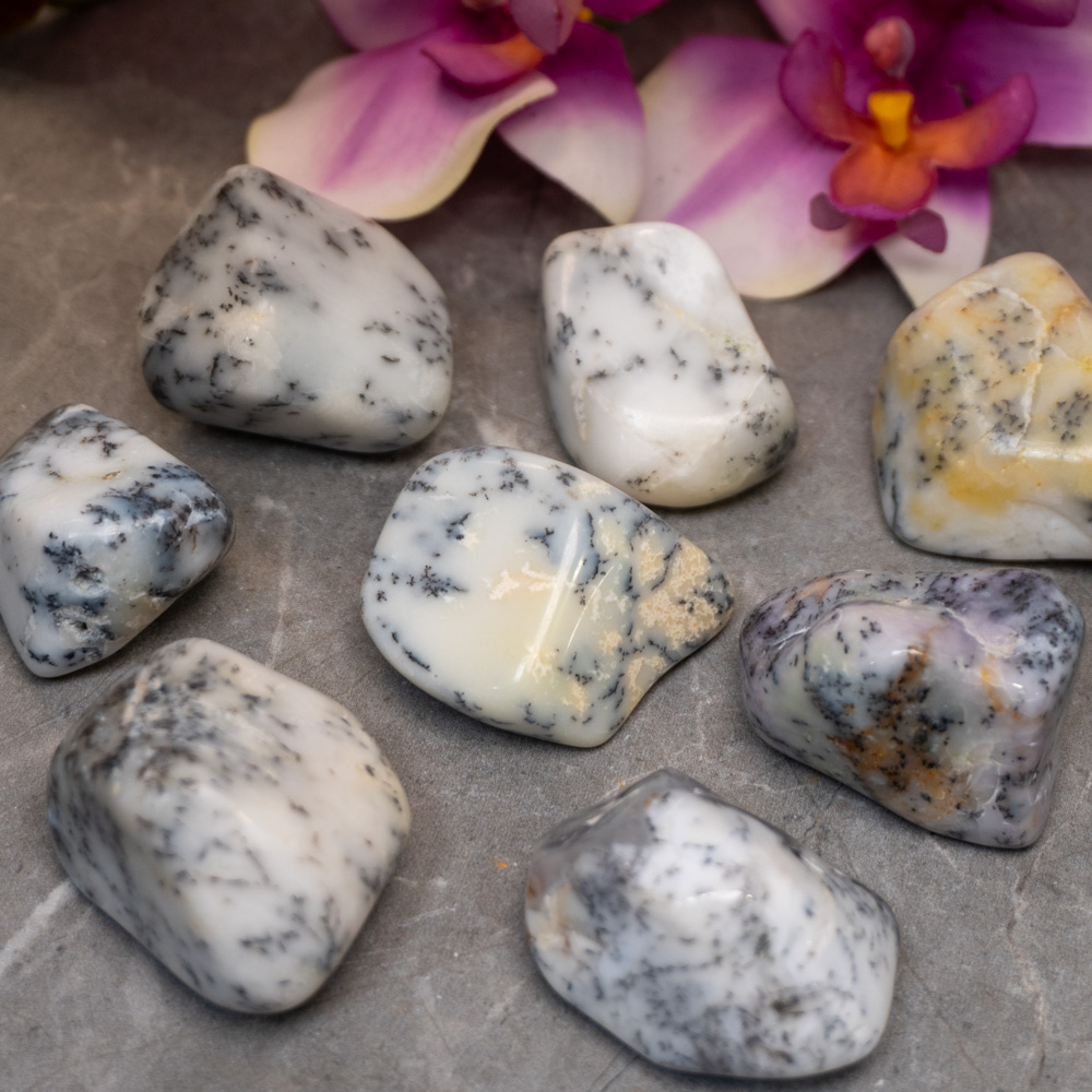 Dendritic Agate Tumble