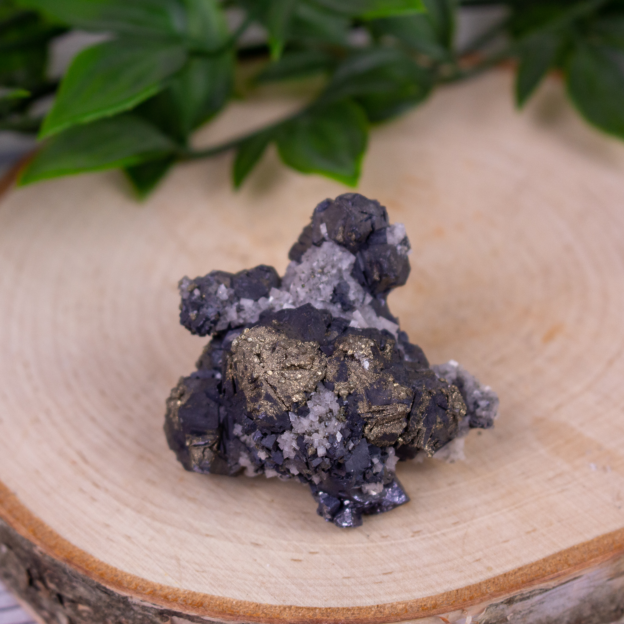 Galena with Dolomite and Chalcopyrite