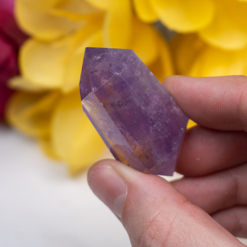 Double Terminated Amethyst #8