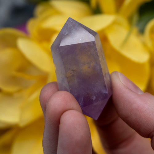 Double Terminated Amethyst #2
