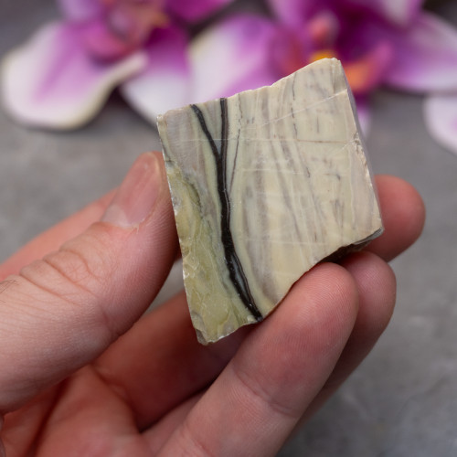 Archean Butterstone #5