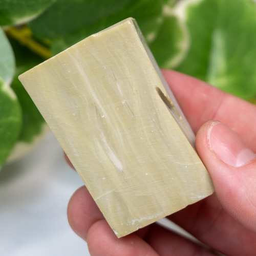 Archaen Butterstone #4