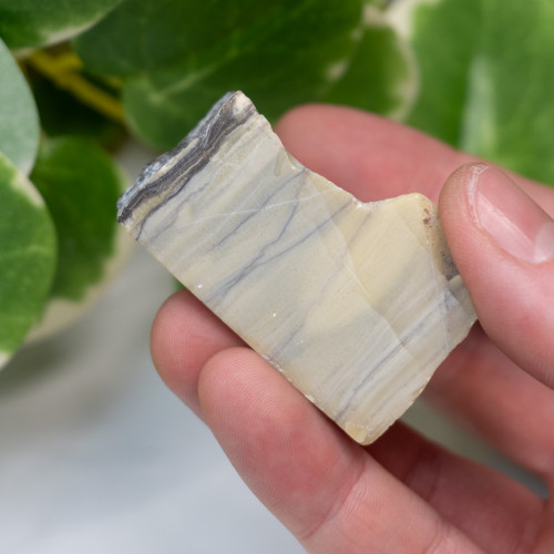 Archaen Butterstone #3