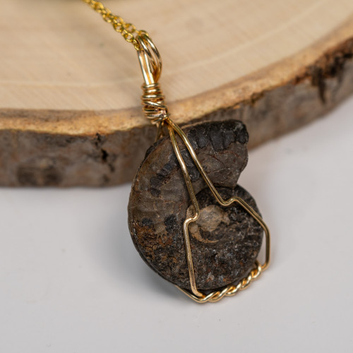 Ammonite Wire Wrap #1