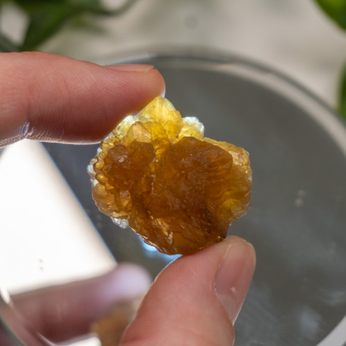 Citrine Cluster #4